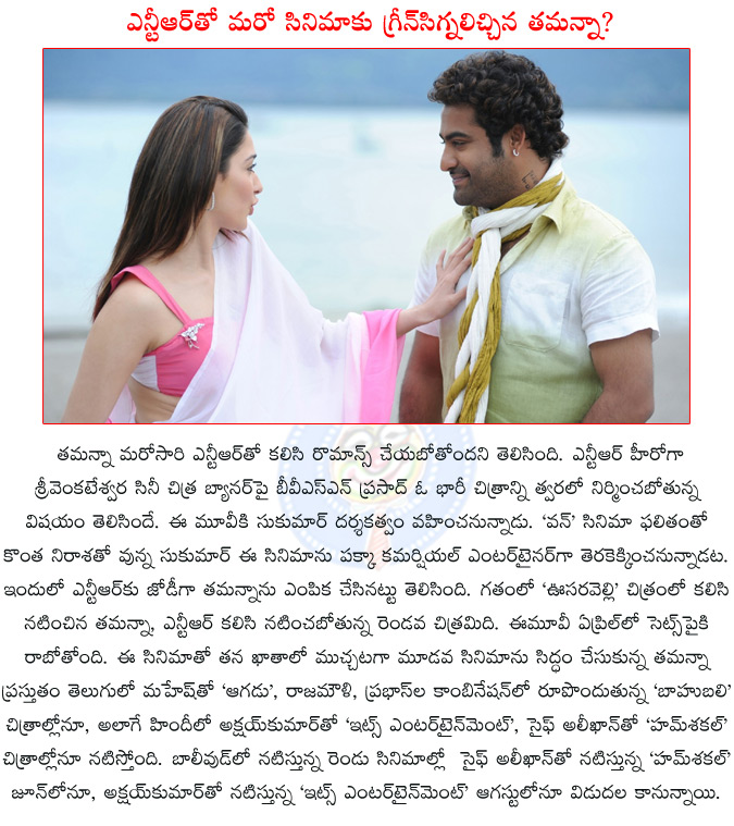 ntr tamanna team up again,tamanna,sukumar,bvsn prasad,sri venkateshwara cinechitra,attarintiki daredi,1 nenokkadine,ntr,oosaravelli,oosaravelli cambo again,milky white beauty tamannah pair up jr ntr,  ntr tamanna team up again, tamanna, sukumar, bvsn prasad, sri venkateshwara cinechitra, attarintiki daredi, 1 nenokkadine, ntr, oosaravelli, oosaravelli cambo again, milky white beauty tamannah pair up jr ntr, 